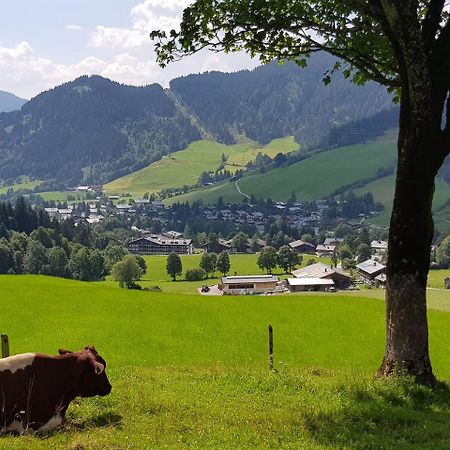 Haus Sonnleiten Maria Alm am Steinernen Meer Exteriör bild