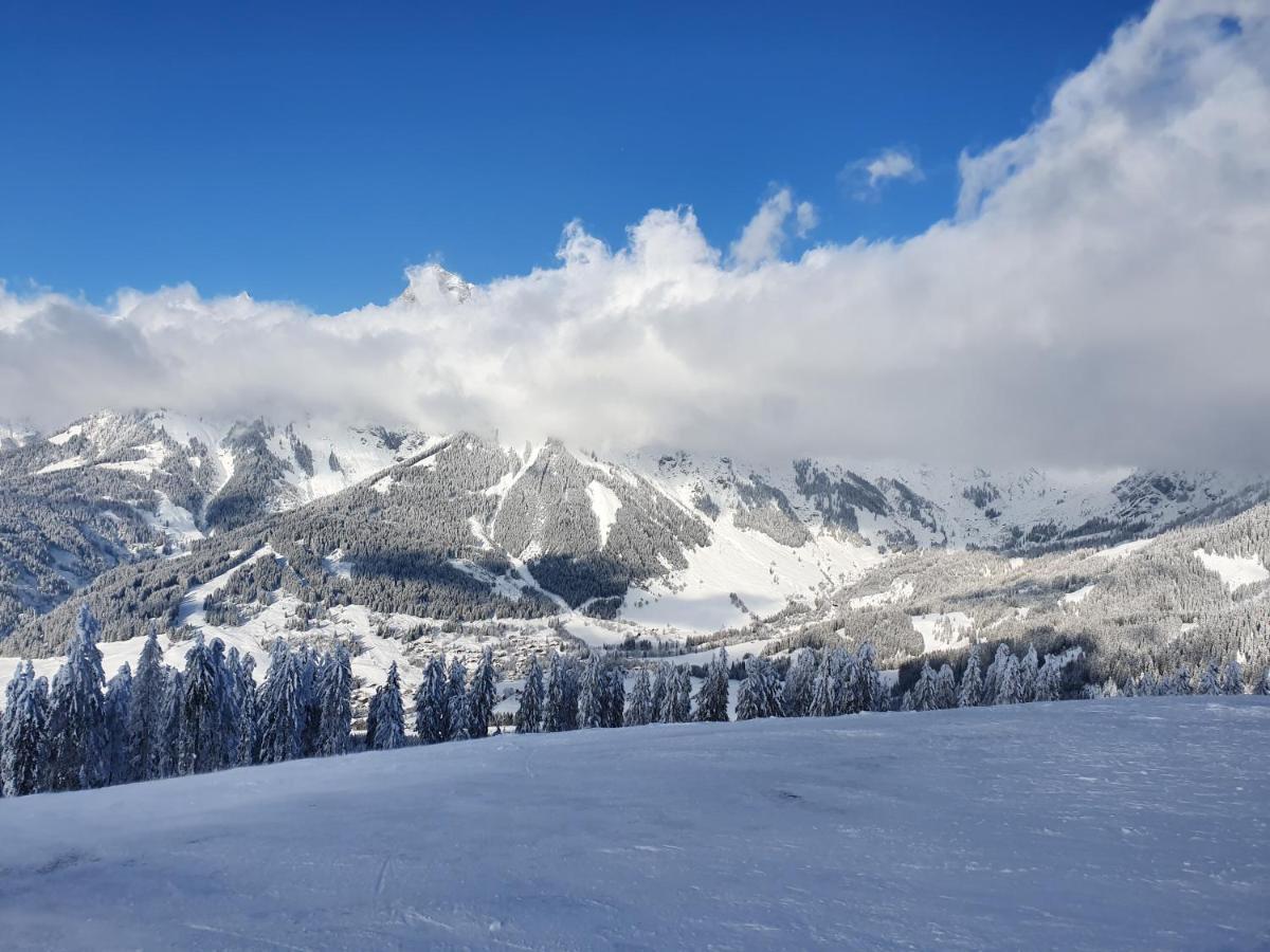 Haus Sonnleiten Maria Alm am Steinernen Meer Exteriör bild