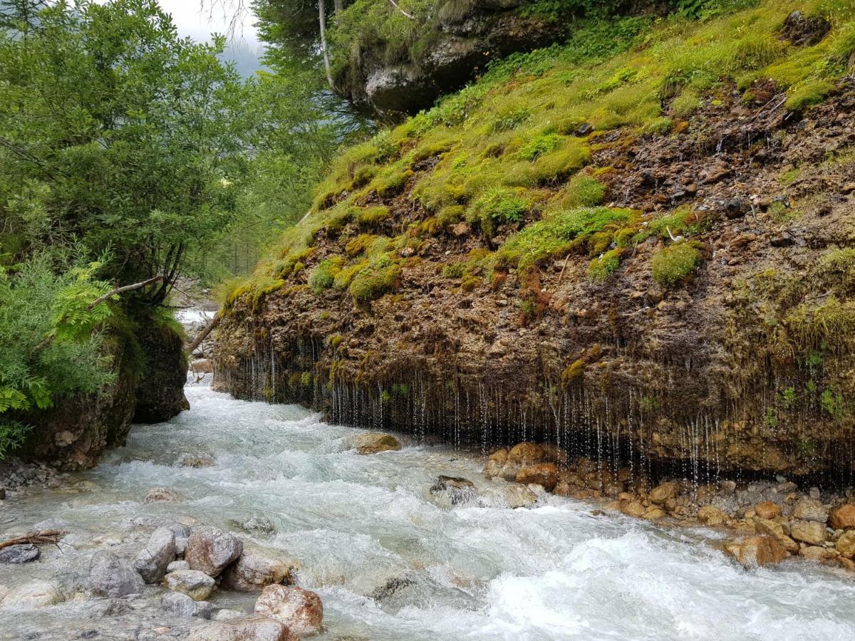 Haus Sonnleiten Maria Alm am Steinernen Meer Exteriör bild